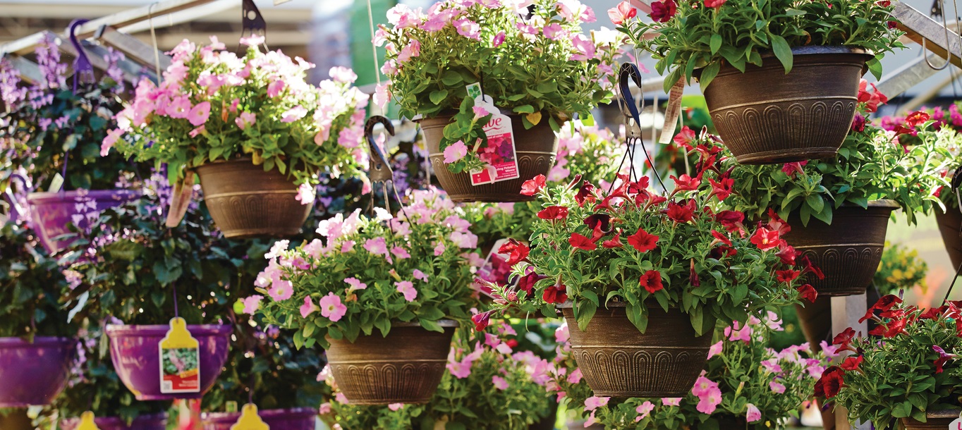 The Home Depot | How Garden Centers Vary Region to Region